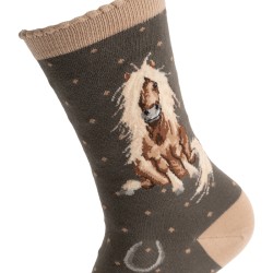 Motivsocken - Pony - Wrendale Designs - Damensocken - 37-42 Motivsocken - Pony - Wrendale Designs - Damensocken - 37-42