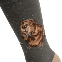 Motivsocken - Biber- Wrendale Designs - Herrensocken - 41-46