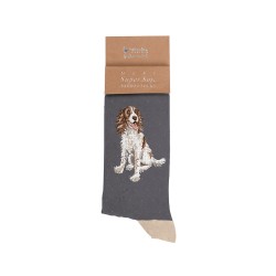 Motivsocken - Pointer - Wrendale Designs - Herrensocken - 41-46 Motivsocken - Pointer - Wrendale Designs - Herrensocken - 41-46