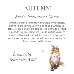 Wrendale Design -  Kuscheltier - Fuchs Autumn