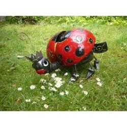 Medusa Windlicht Marienkäfer