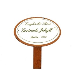 Rosenschild Emaille Gertrude Jekyll Rosenschild Emaille Gertrude Jekyll