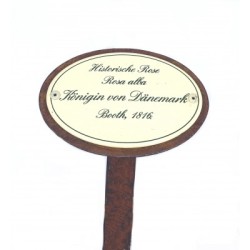 Rosenschild Emaille Königin von Dänemark