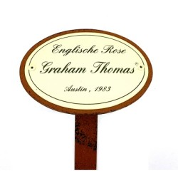 Rosenschild Emaille Graham Thomas Rosenschild Emaille Graham Thomas