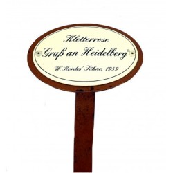 Rosenschild Emaille Gruß an Heidelberg Rosenschild Emaille Gruß an Heidelberg