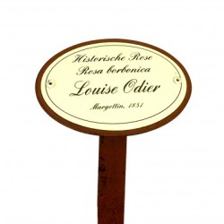 Rosenschild Emaille Louise Odier Rosenschild Emaille Louise Odier