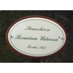 Rosenschild Emaille Rosarium Uetersen Rosenschild Emaille Rosarium Uetersen