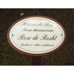 Rosenschild Emaille Rose de Resht Rosenschild Emaille Rose de Resht