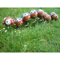 Medusa Windlicht Raupe Immersatt orange-braun