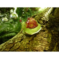 Gartendeko von Medusa Kleine Schnecke